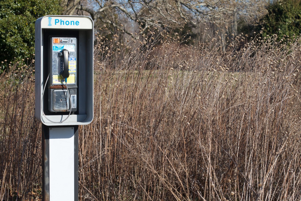 Photo of payphone in field